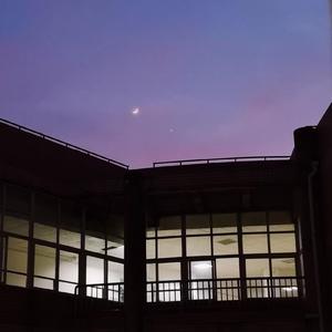 范冰冰的毛毛真黑
