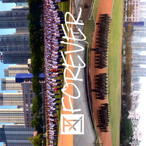 范冰冰的毛毛真黑
